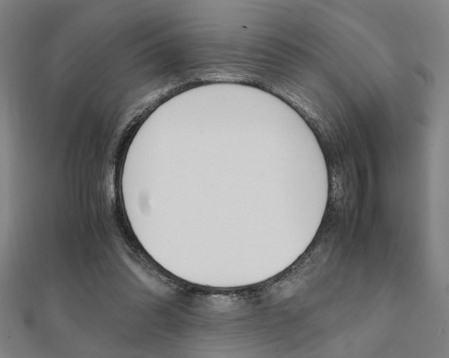 X0000112050302200908040955