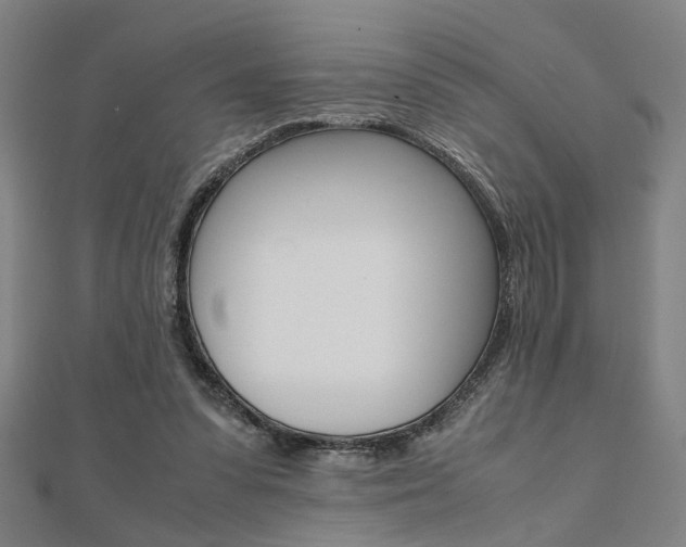 X0000112050303200908040955