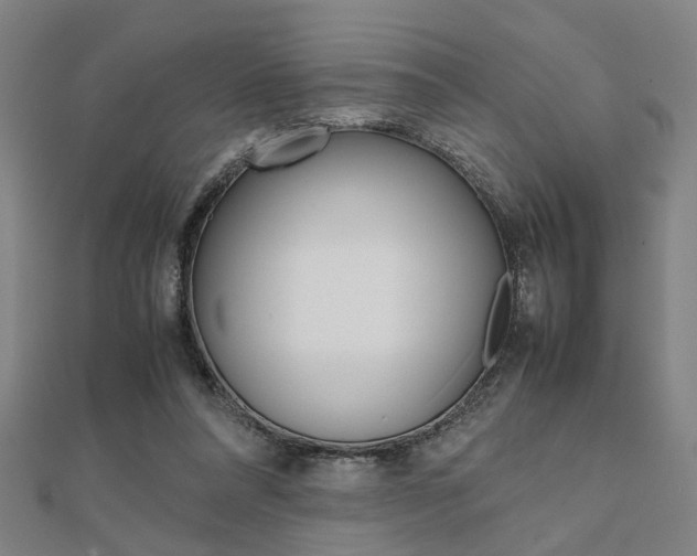 X0000112050304200908040955