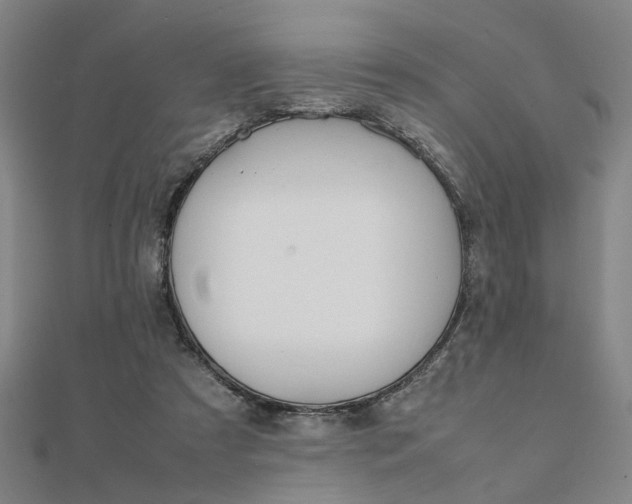 X0000112050305200908040955
