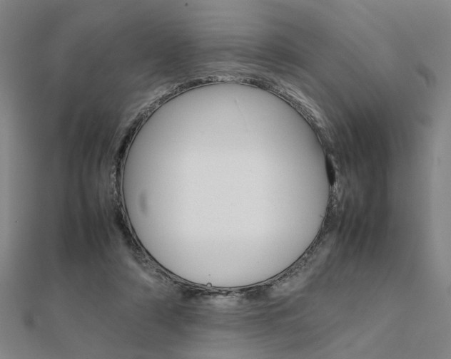 X0000112050306200908040955