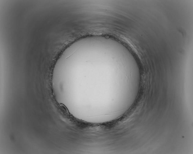 X0000112050307200908040955