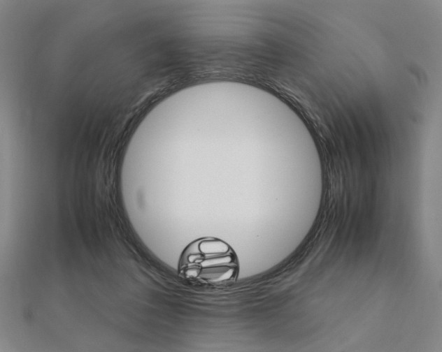 X0000112050308200908040955