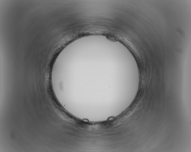X0000112050309200908040955
