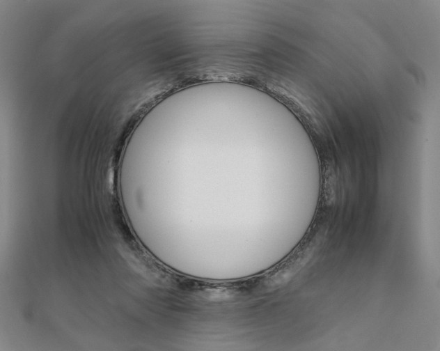 X0000112050310200908040955