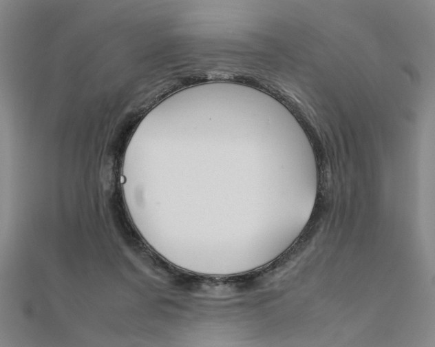 X0000112050311200908040955