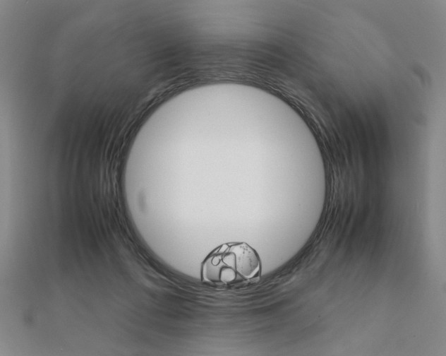 X0000112050312200908040955