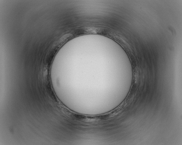 X0000112050314200908040955