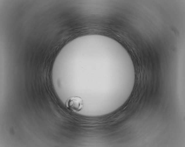X0000112050316200908040955