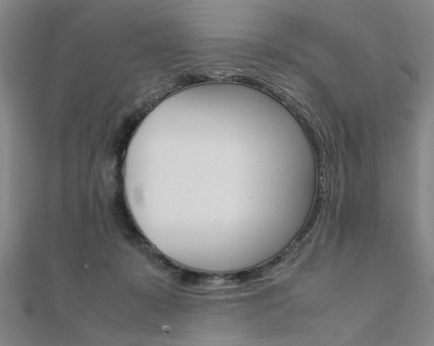 X0000112050319200908040955