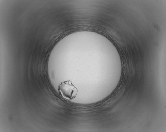 X0000112050320200908040955