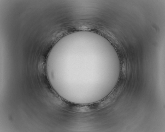 X0000112050322200908040955