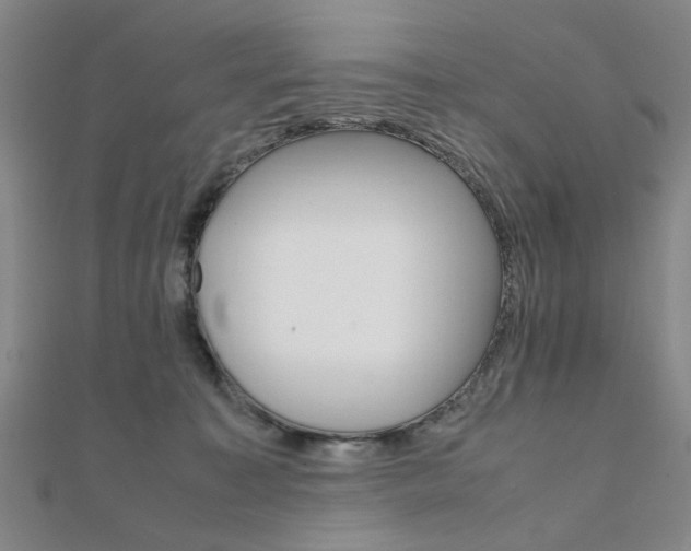 X0000112050323200908040955