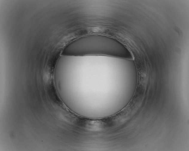 X0000112050324200908040955