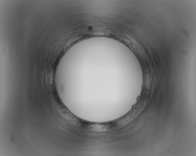 X0000112050326200908040955