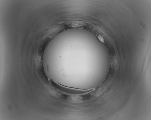 X0000112050327200908040955