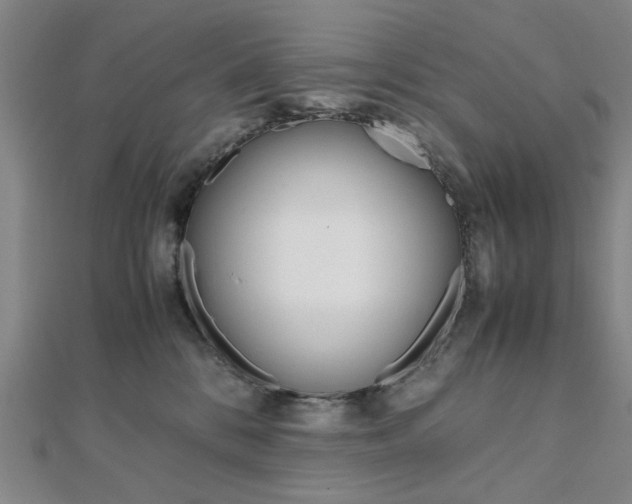 X0000112050328200908040955