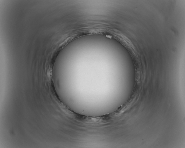 X0000112050329200908040955