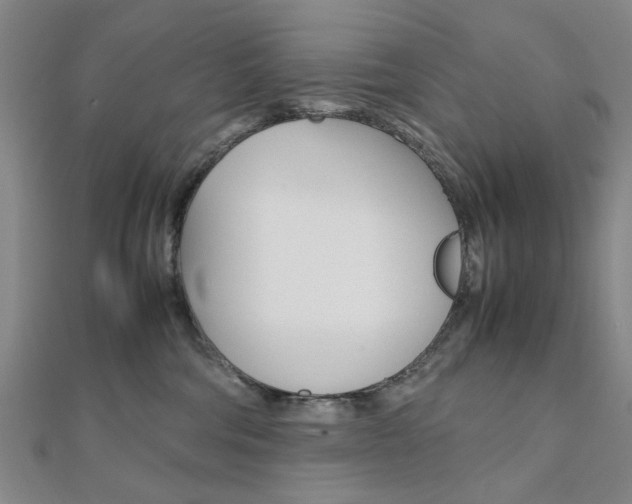 X0000112050330200908040955