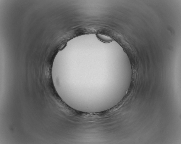 X0000112050331200908040955