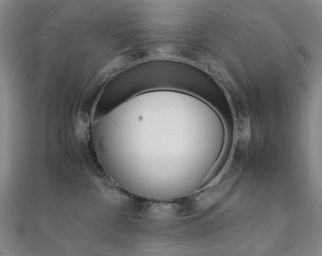 X0000112050332200908040955