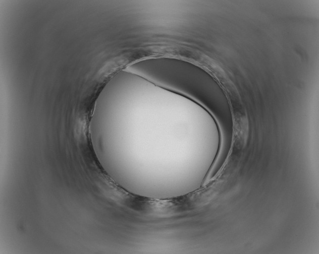 X0000112050333200908040955
