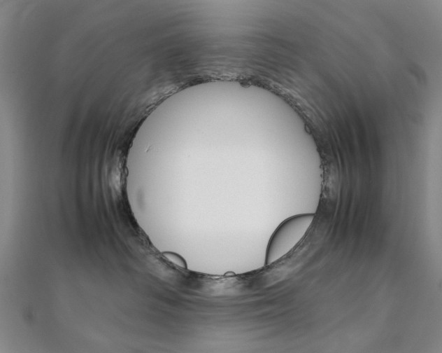 X0000112050334200908040955