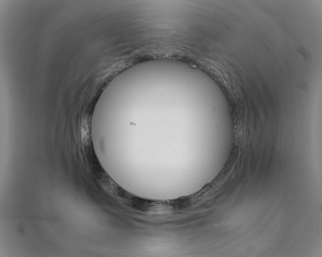 X0000112050335200908040955