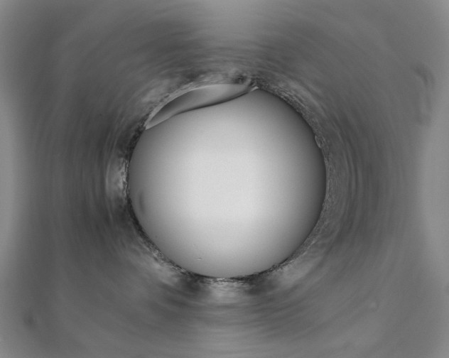 X0000112050336200908040955
