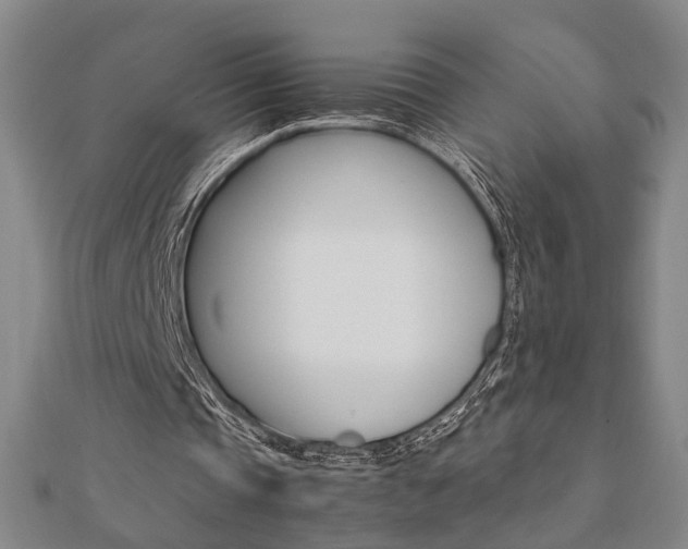 X0000112050337200908040954
