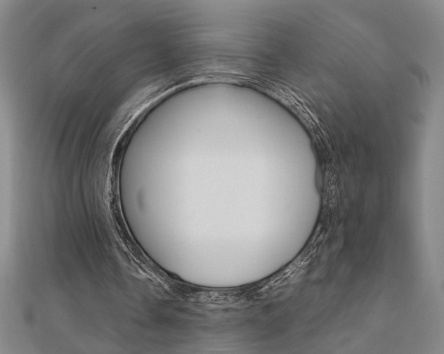 X0000112050338200908040954