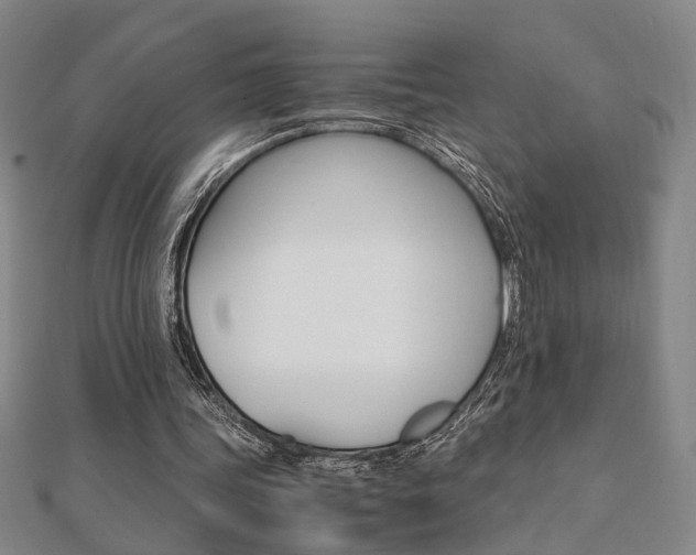 X0000112050339200908040954