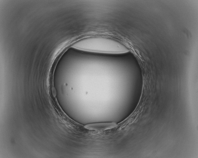 X0000112050340200908040954