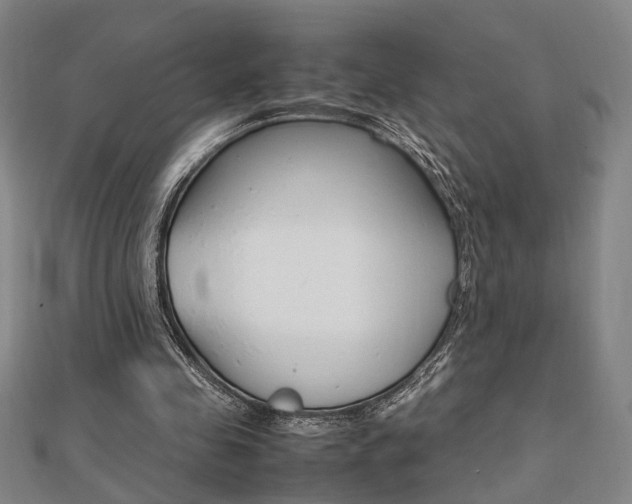 X0000112050341200908040954