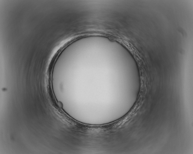 X0000112050342200908040954