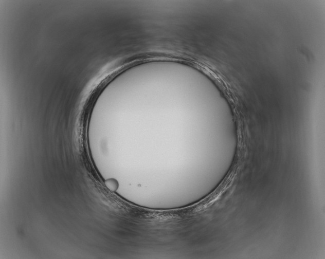 X0000112050343200908040954