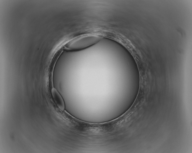 X0000112050344200908040954