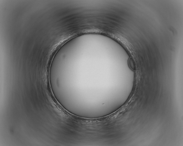 X0000112050345200908040954