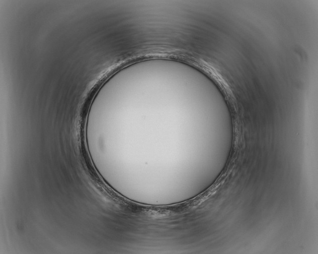 X0000112050346200908040954