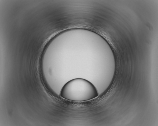 X0000112050348200908040954