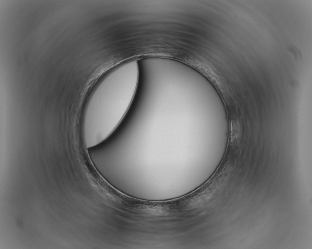 X0000112050349200908040954