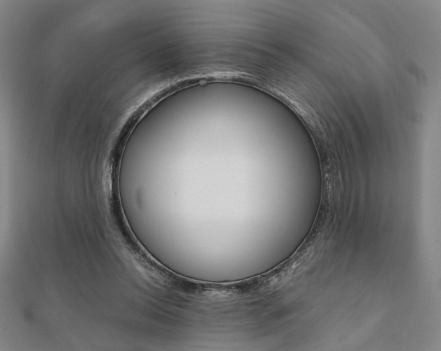 X0000112050350200908040954