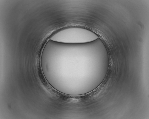 X0000112050352200908040954