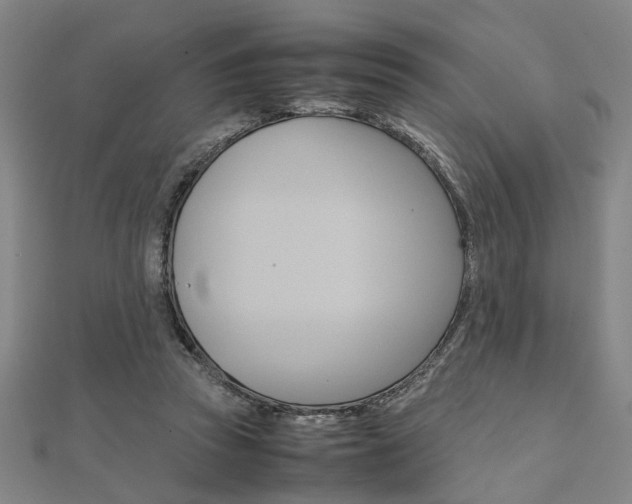X0000112050353200908040954