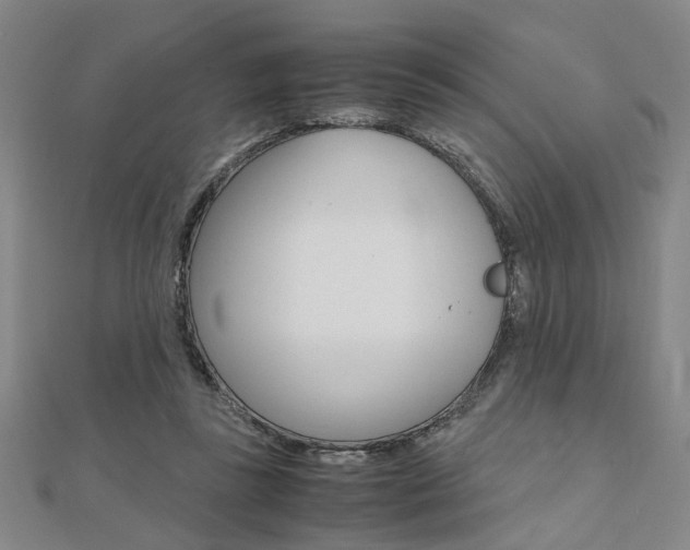 X0000112050355200908040954
