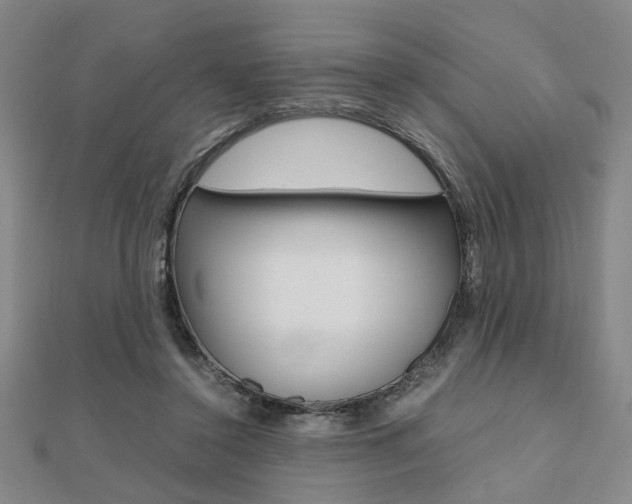 X0000112050356200908040954