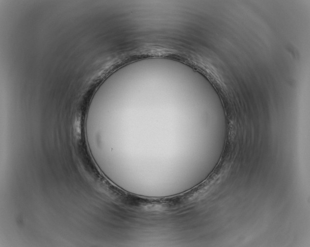 X0000112050358200908040955