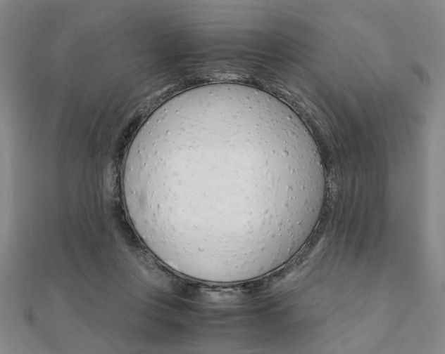 X0000112050359200908040955