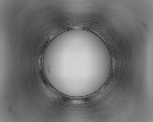 X0000112050360200908040955