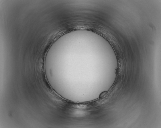 X0000112050361200908040955